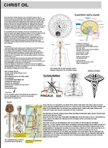 Book Of Wisdom Spanish [product_type] My Store dvn6ke-1j.myshopify.com 